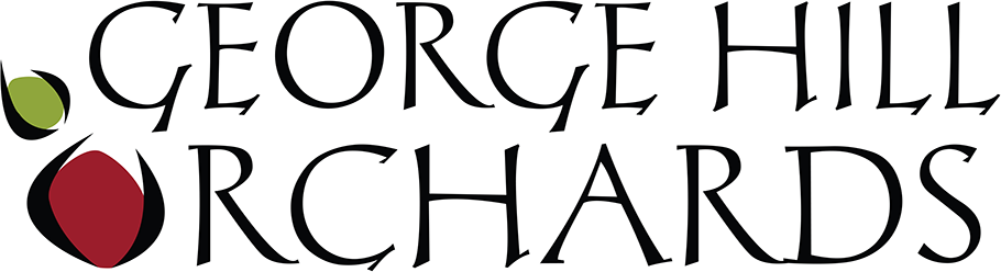 GHO logo