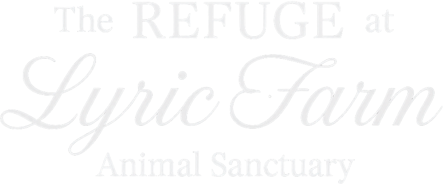 The Refuge at Lyric Farm Text Logo