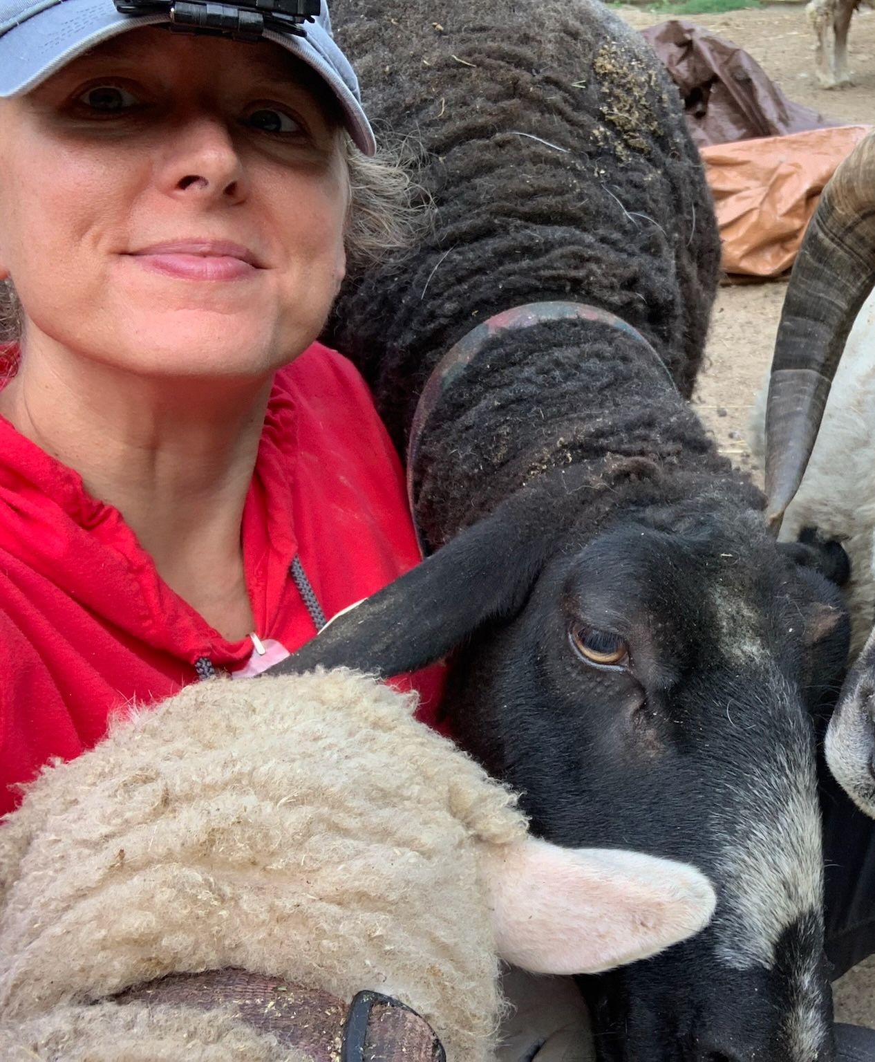 Michelle, owner of The Refuge at Lyric Farm with some goats and sheep