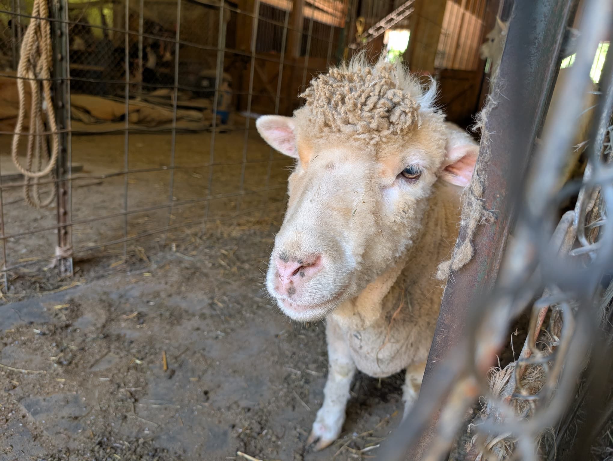 Events and activities at The Refuge at Lyric Farm