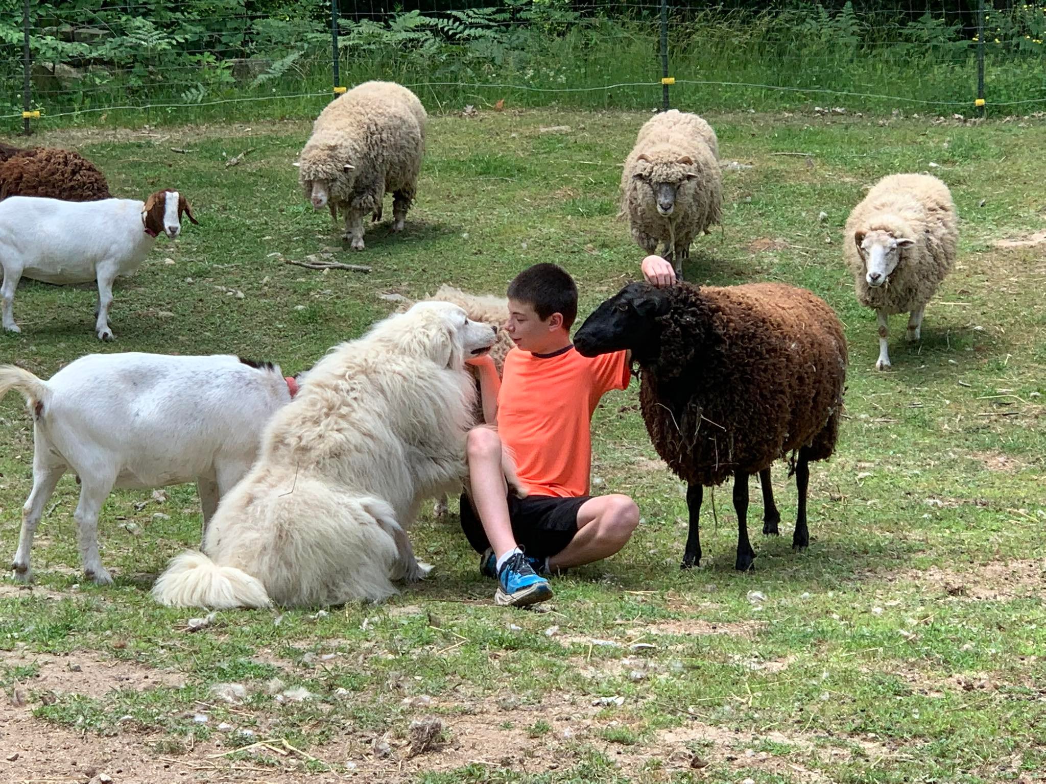 School, Scout & Homeschool Field Trips